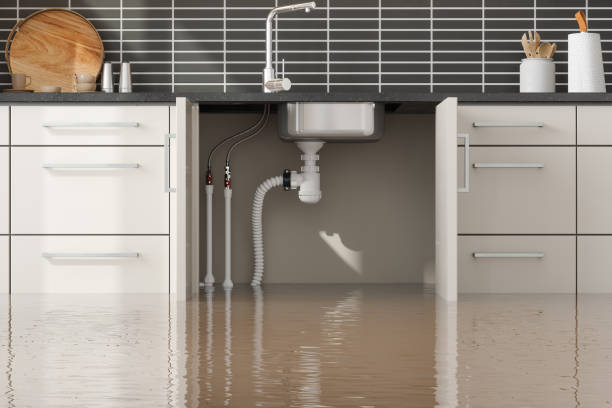 Best Wood Floor Water Damage Restoration in Clemmons, NC