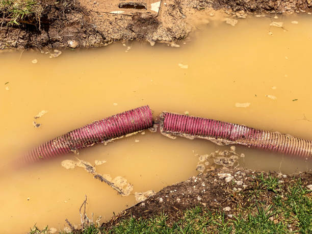 Best Basement Water Damage Restoration in Clemmons, NC